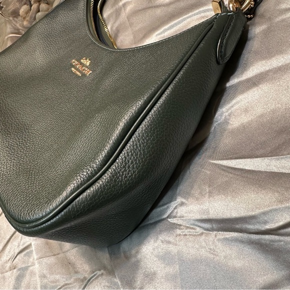 SOLD🌹Coach Teri Hobo • LIMITED EDITION Pebbled Leather WINTER GREEN Shoulder Bag - Picture 13 of 15